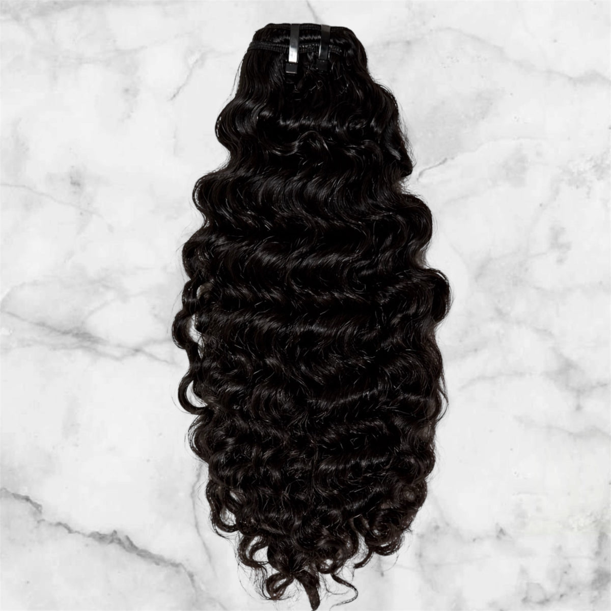 Burmese Curly