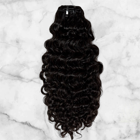 Burmese Curly