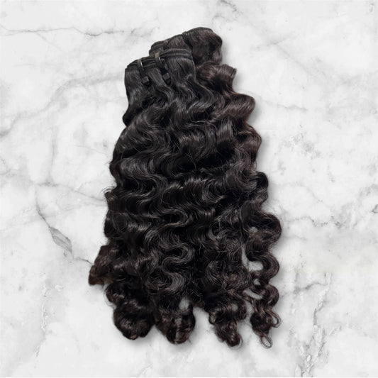 Burmese Curly